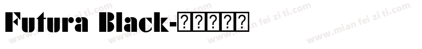 Futura Black字体转换